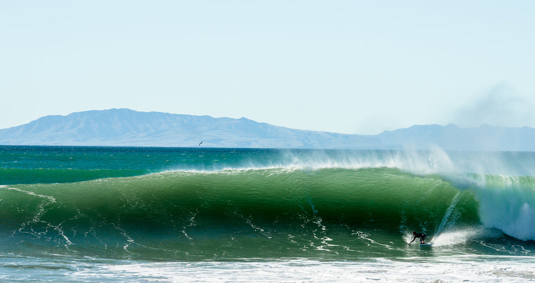 Checking in w/ Sam Neiger