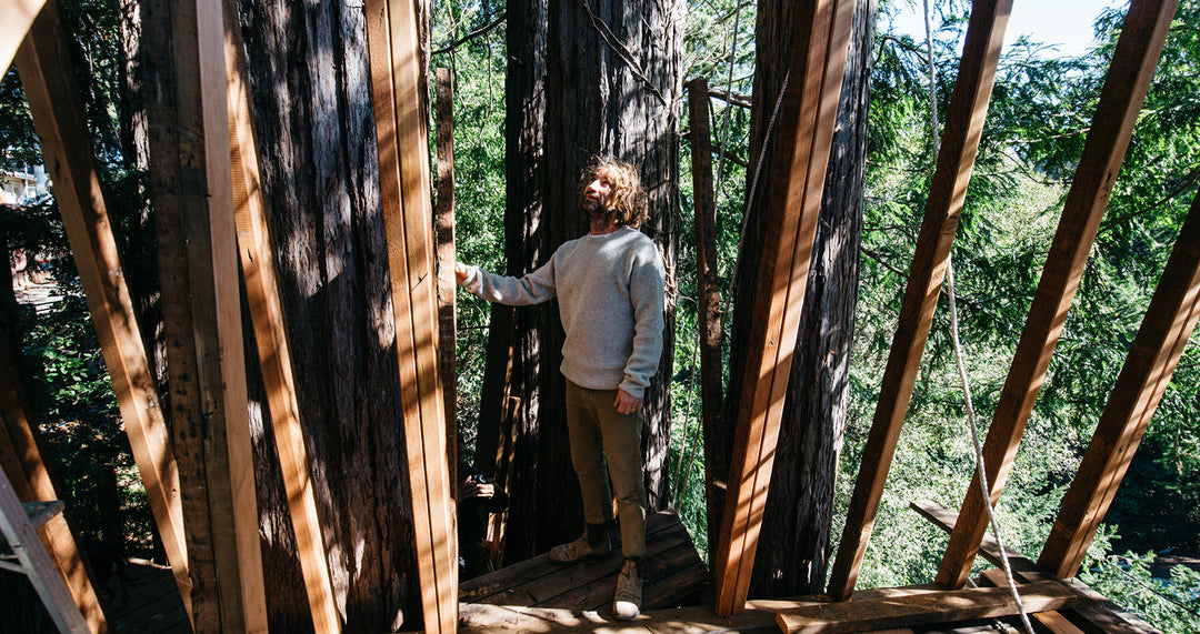 Donald Brink's 'Creative Kin: Jay Nelson'