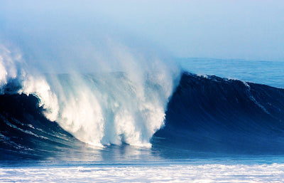 Surfing Mag | Gifts of Hurricane Marie