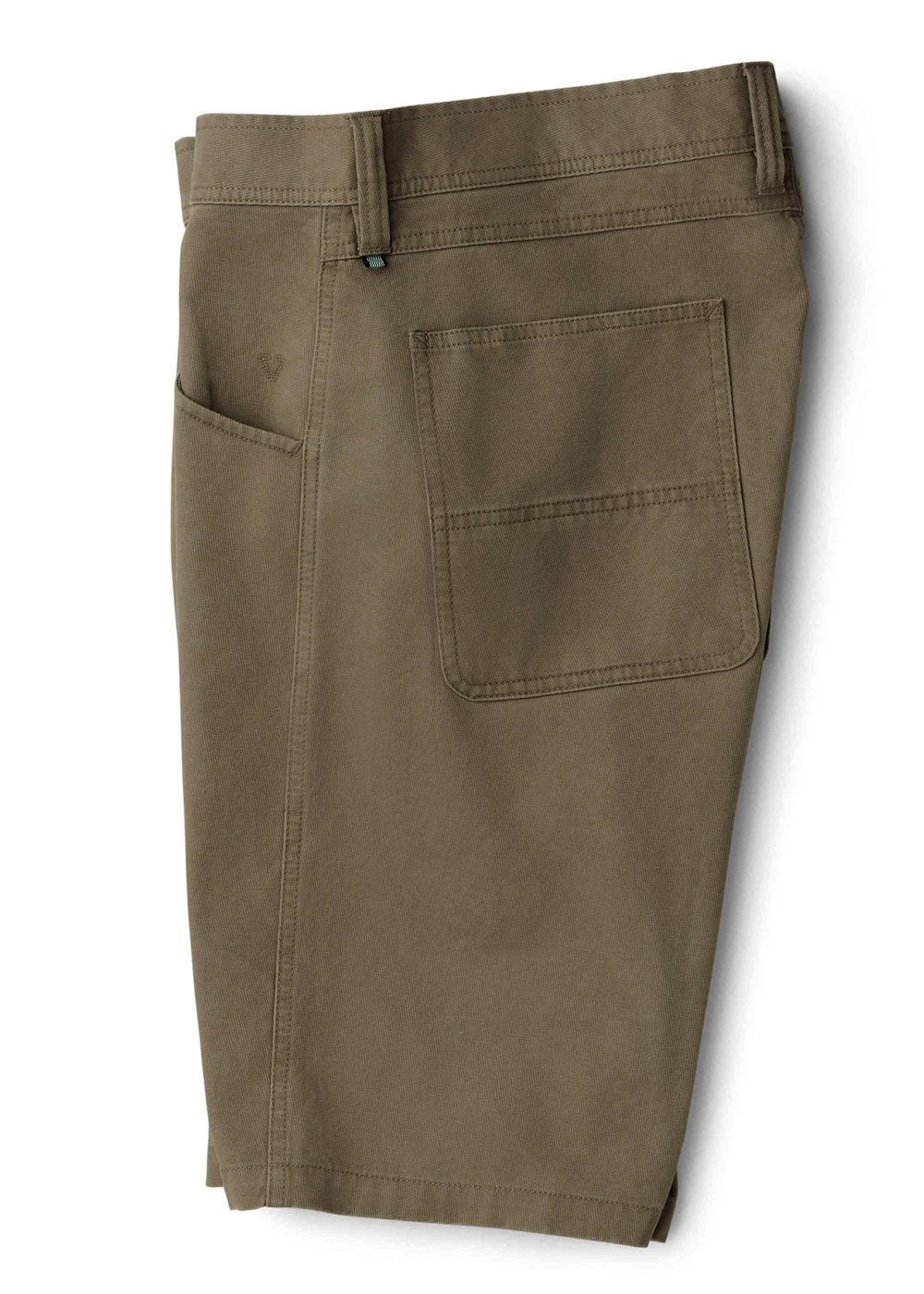 Pismo Painter 21" Walkshort