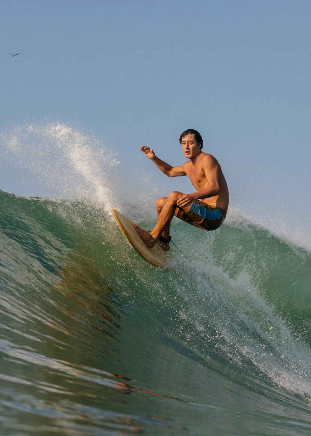 Twinzer 17.5" Boardshort